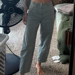 Everlane Utility Barrel Pants